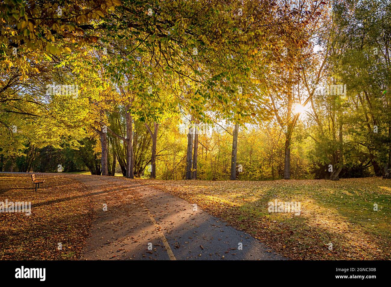 Spaziergang durch Einen Herbst Park Stockfoto