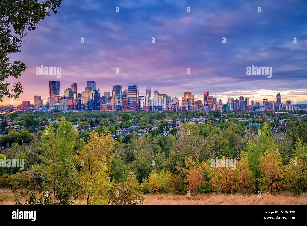 Herbstlaub Framing The Calgary Skyline At Sunrise Stockfoto