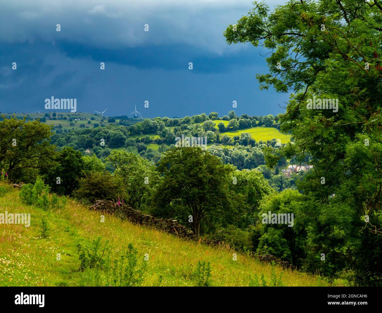 Blick über Felder in Richtung Starkholmes und Matlock Bath im Derbyshire Dales Peak District England mit Bäumen und stürmischem Himmel vor Regen. Stockfoto
