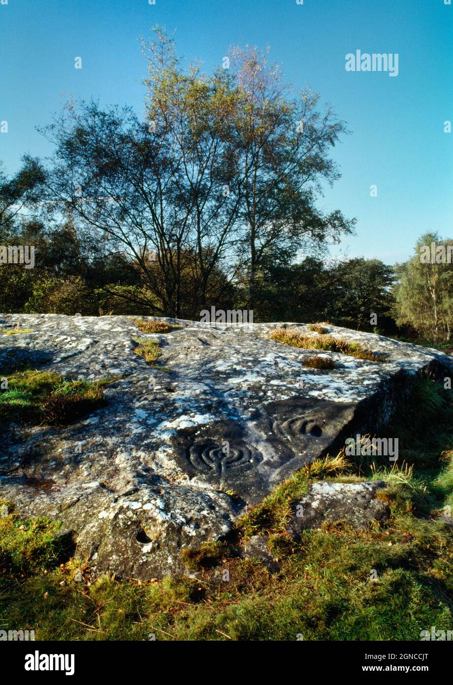 Sehen Sie sich die prähistorische Felskunst in WSW an, darunter zahlreiche Becherungen und Ringmarkierungen auf einer großen Sandsteinkuppel in Roughting Linn, Northumberland, England, Großbritannien. Stockfoto