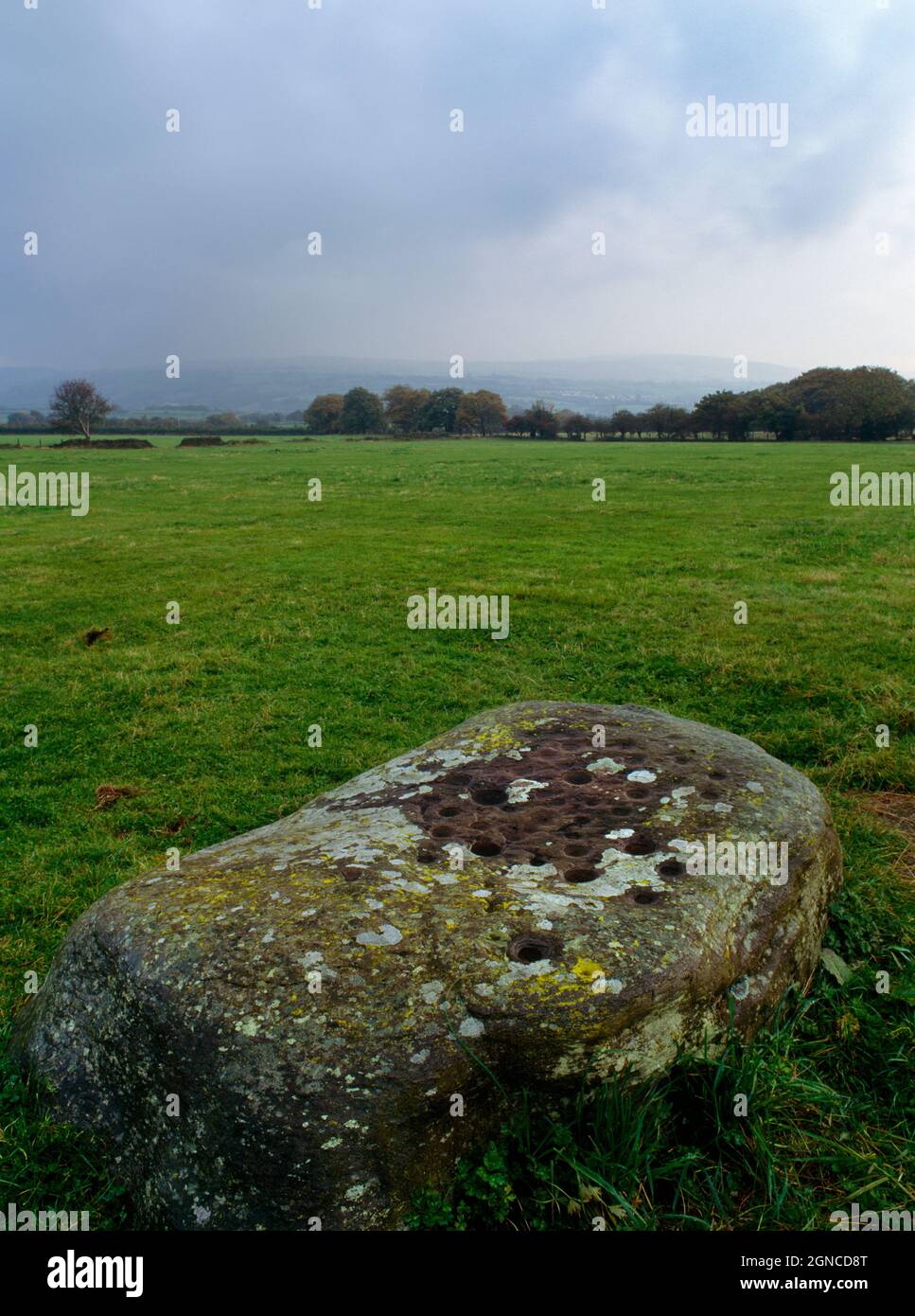 Maen Cattwg-Stein mit Becherkennzeichen NW von Gelligaer, Caerphilly, Wales, Großbritannien, verziert mit bis zu 50 Tassen, zwei davon durch schmale Rillen verbunden. Stockfoto