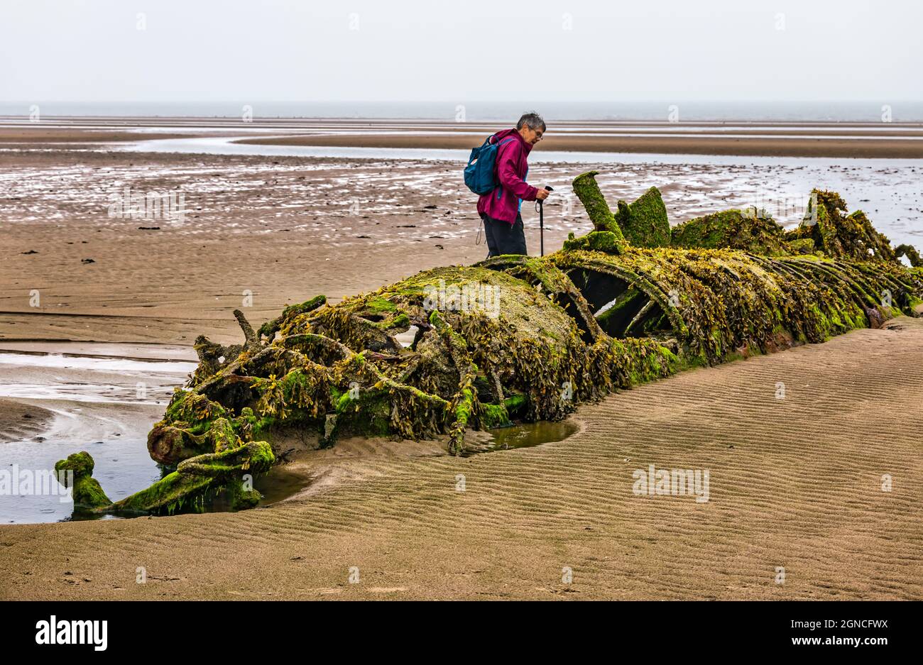 Älterer Wanderer, der bei Ebbe im Sand vergrabenes Zwergsubmarine der XT-Klasse des Zweiten Weltkriegs betrachtet, Aberlady Bay, East Lothian, Schottland, Großbritannien Stockfoto