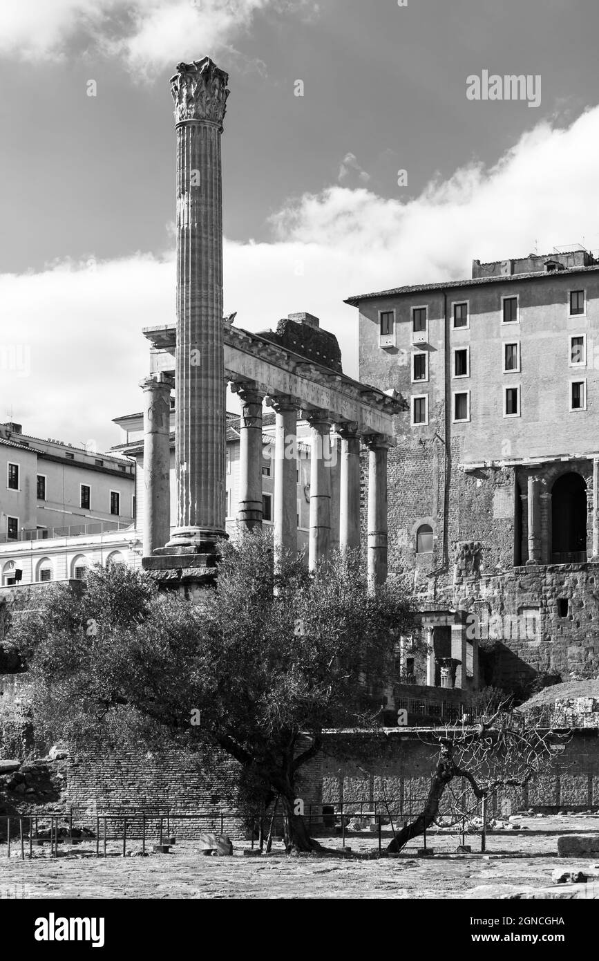 Schwarz-Weiß-Foto von Ruinen eines alten römischen Tempels, der vor einem mittelalterlichen Gebäude in Rom steht Stockfoto