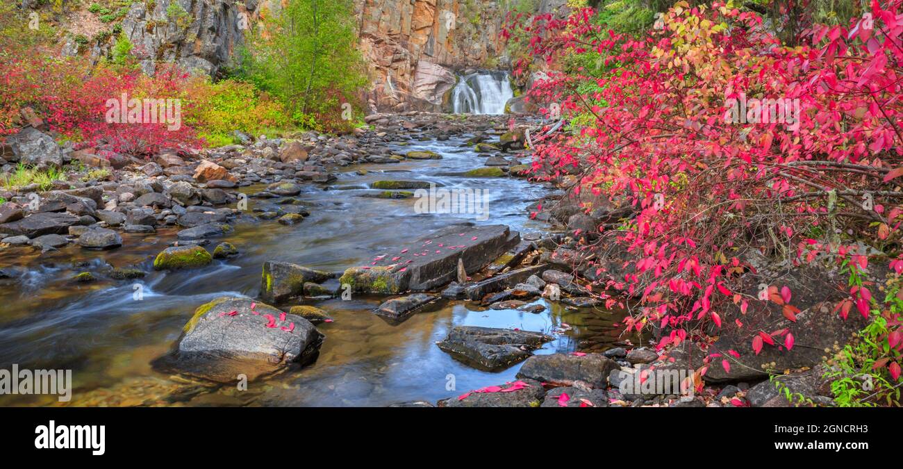 Panorama der Herbstfarben entlang des tenderfoot Creek in der Nähe von weißen Schwefelquellen, montana Stockfoto