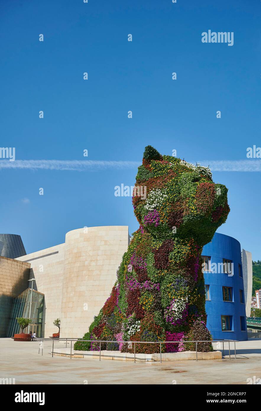 Blick auf den 'Puppy', die berühmte Skulptur von Jeff Koons, im Freien des Guggenheim Museums, Bilbao, Biskaya, Baskenland Stockfoto