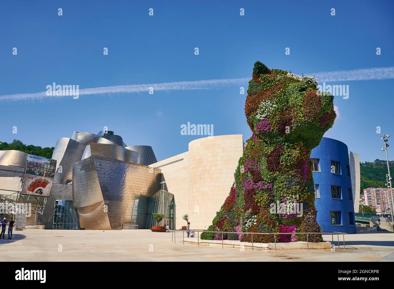 Blick auf den 'Puppy', die berühmte Skulptur von Jeff Koons, im Freien des Guggenheim Museums, Bilbao, Biskaya, Baskenland Stockfoto