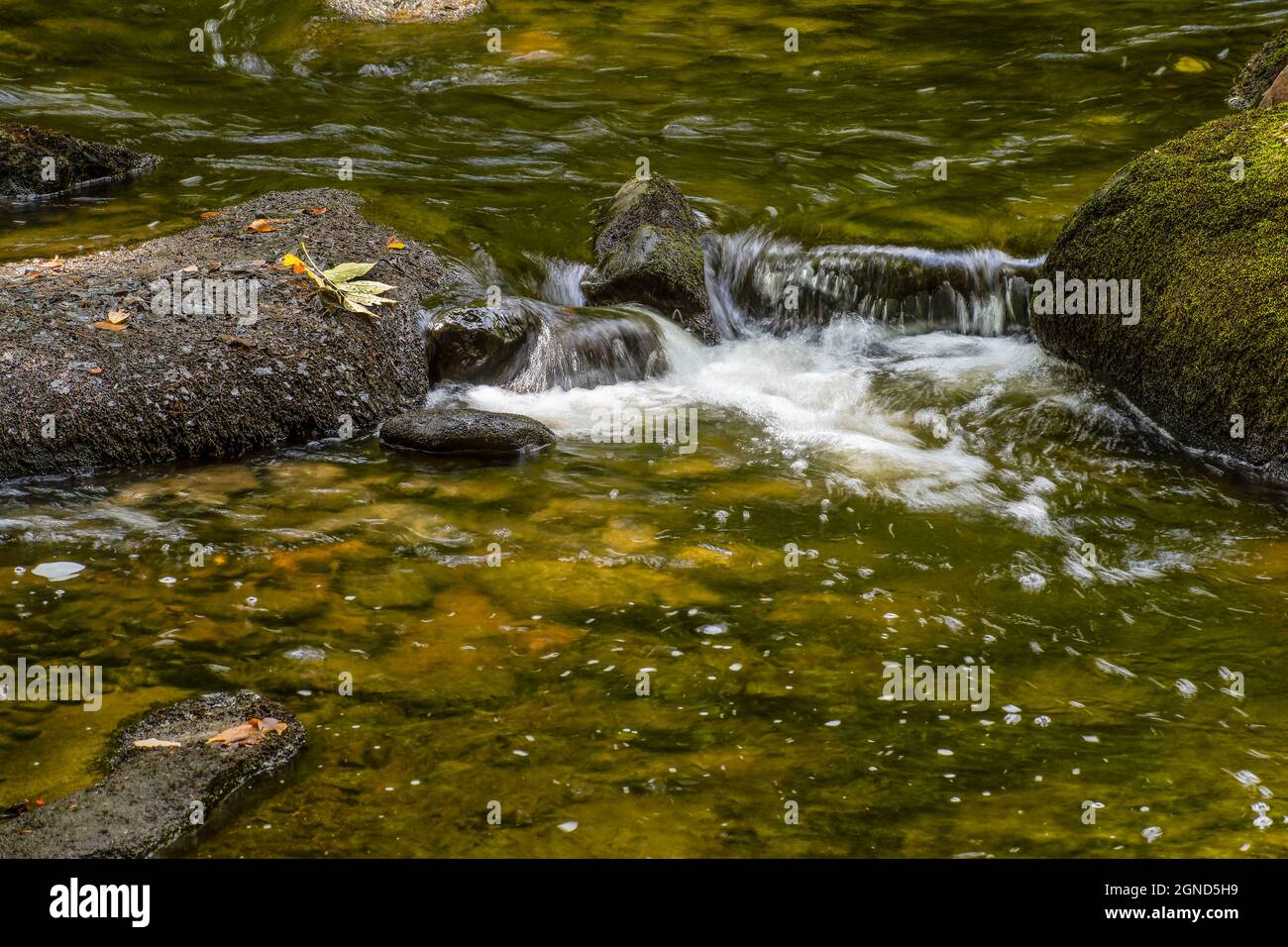 Wasserfällen im willard Brook gelegen im willard Brook State Park in townsend massachusetts Stockfoto