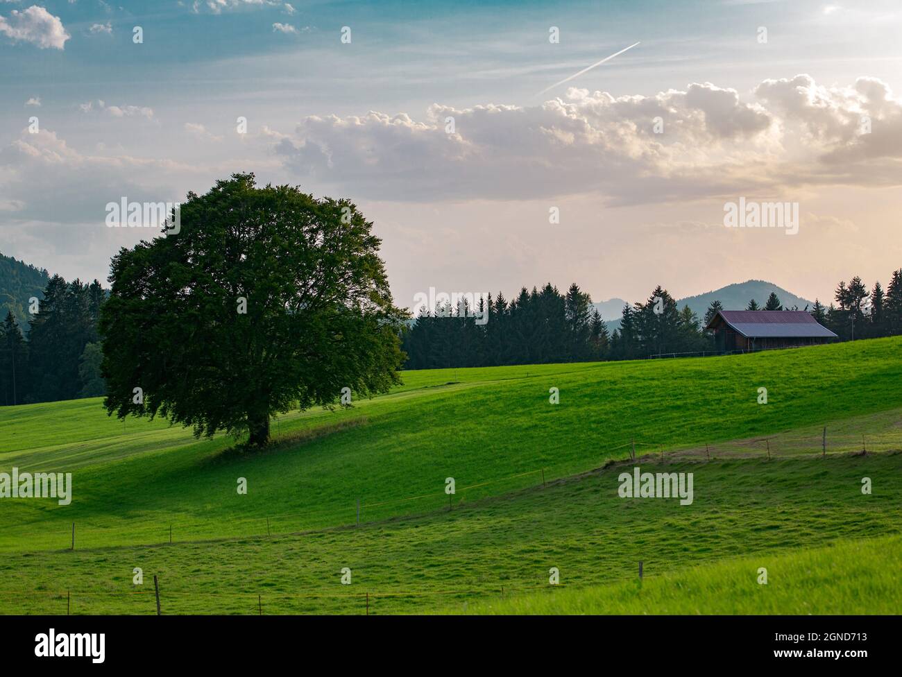 Wiese im Allgäu, Deutschland. Landschaftsaufnahme von grünen Weiden und blauen Kies in Bayern. Stockfoto