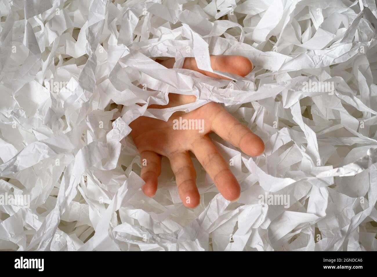 Die Hand greift aus dem Haufen zerfetzten Papiers, der Mann versinkt in einem Haufen weißer Konfetti. Jemand, der in Papiermüll, Müll oder Box-Füllstoff ertrinkt. Konzept Stockfoto