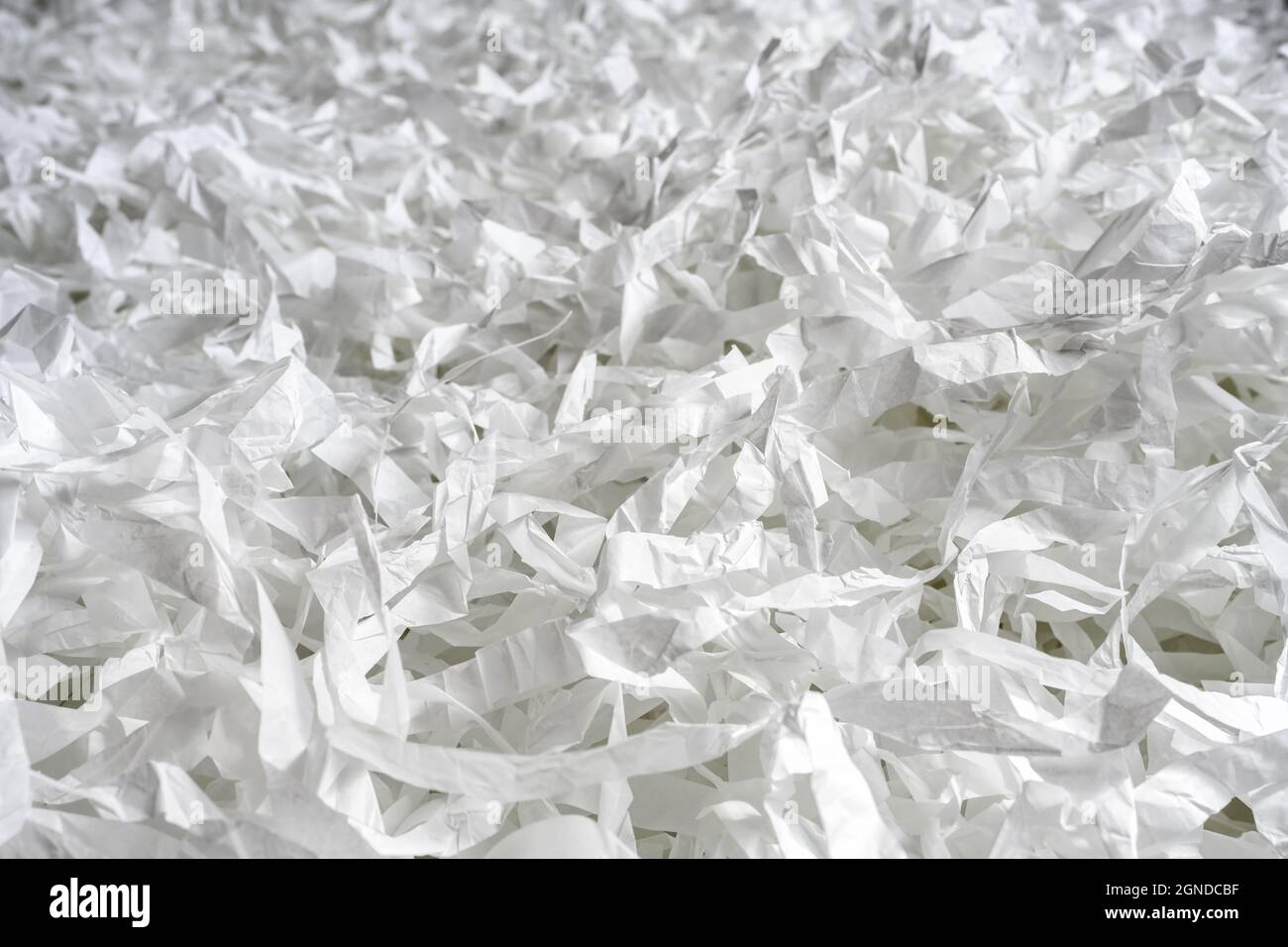 Papierstreifen wie Konfetti für Party oder Box-Füllstoff für den Versand empfindlicher Gegenstände. Viele Stücke von geschnittenem weißem Papier für Textur Hintergrund. Konzept von Packa Stockfoto