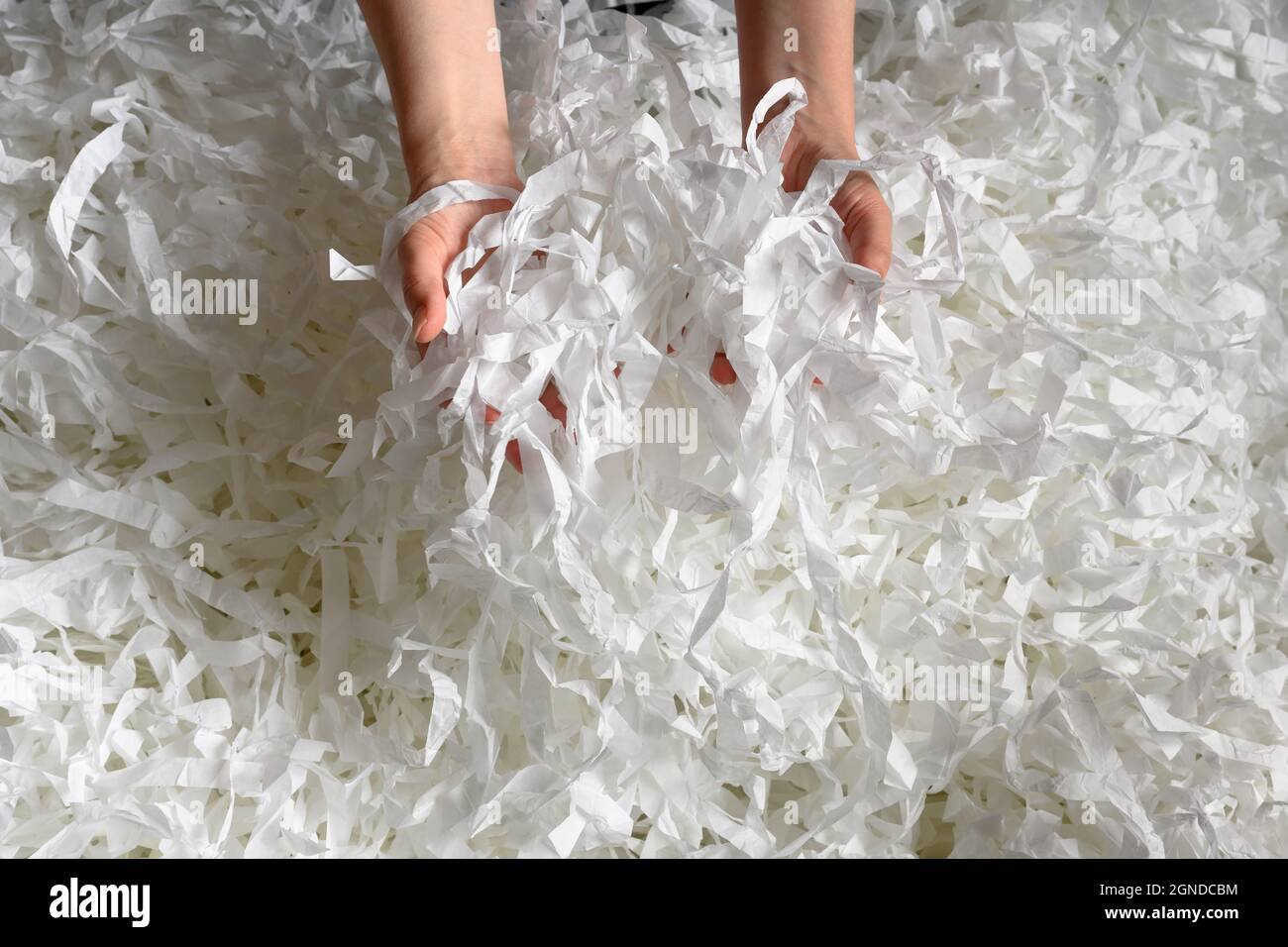 Recycling, Abfall, Müll und Ökologie Konzept. Geschredderter Papierhaufen in den Händen, Draufsicht auf viele weiße Streifen. Stapel geschnittenes Papier wie Konfetti für Party oder b Stockfoto