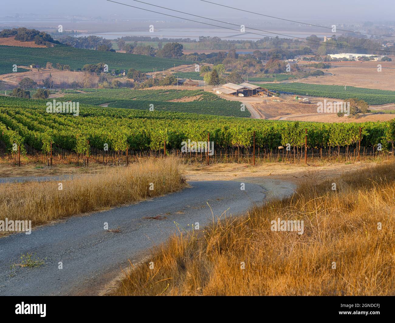 Napa Valley, ein erhöhter Blick auf eine funktionierende Scheune auf einem Weinberg mit Reihen von Weinreben Stockfoto