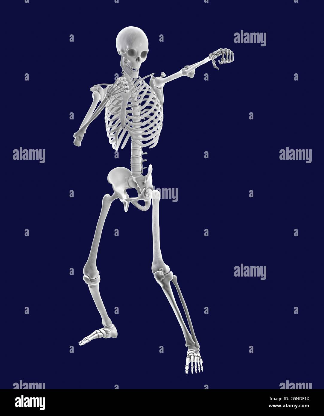 Skelettboxen, Illustration Stockfoto