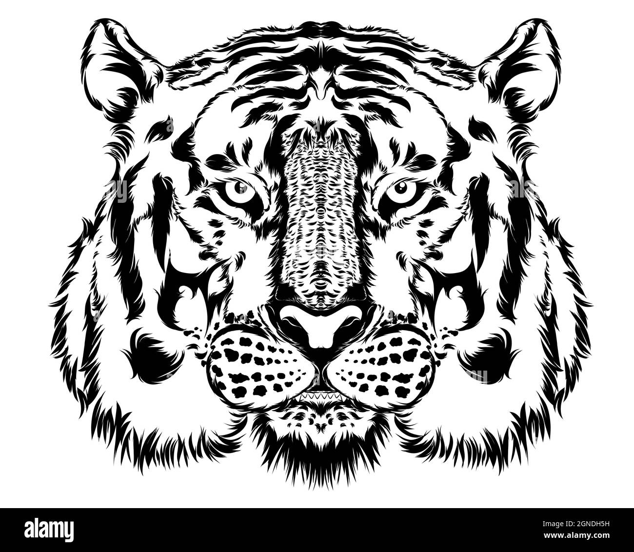 Schöne Darstellung eines Tigers in hohem Kontrast Stockfoto
