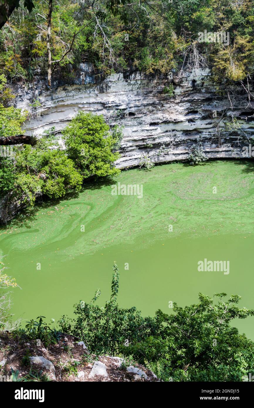 Heilige Cenote an der archäologischen Stätte Chichen Itza, Mexiko Stockfoto