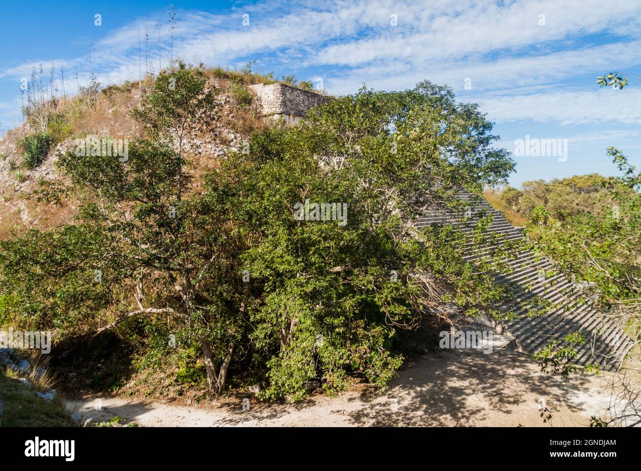 Große Pyramide an den Ruinen der alten Maya-Stadt Uxmal, Mexiko Stockfoto