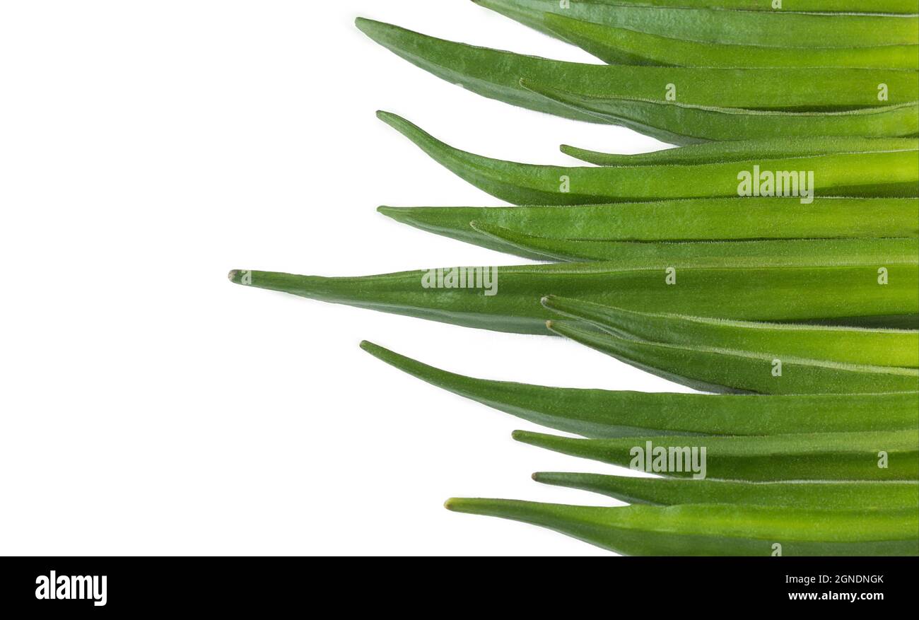 Okra oder Okro, auch bekannt als Ladies' Fingers, Gemüse auf weißem, natürlichem Hintergrund angeordnet, Tapete für grafische Gestaltung, Nahaufnahme Stockfoto