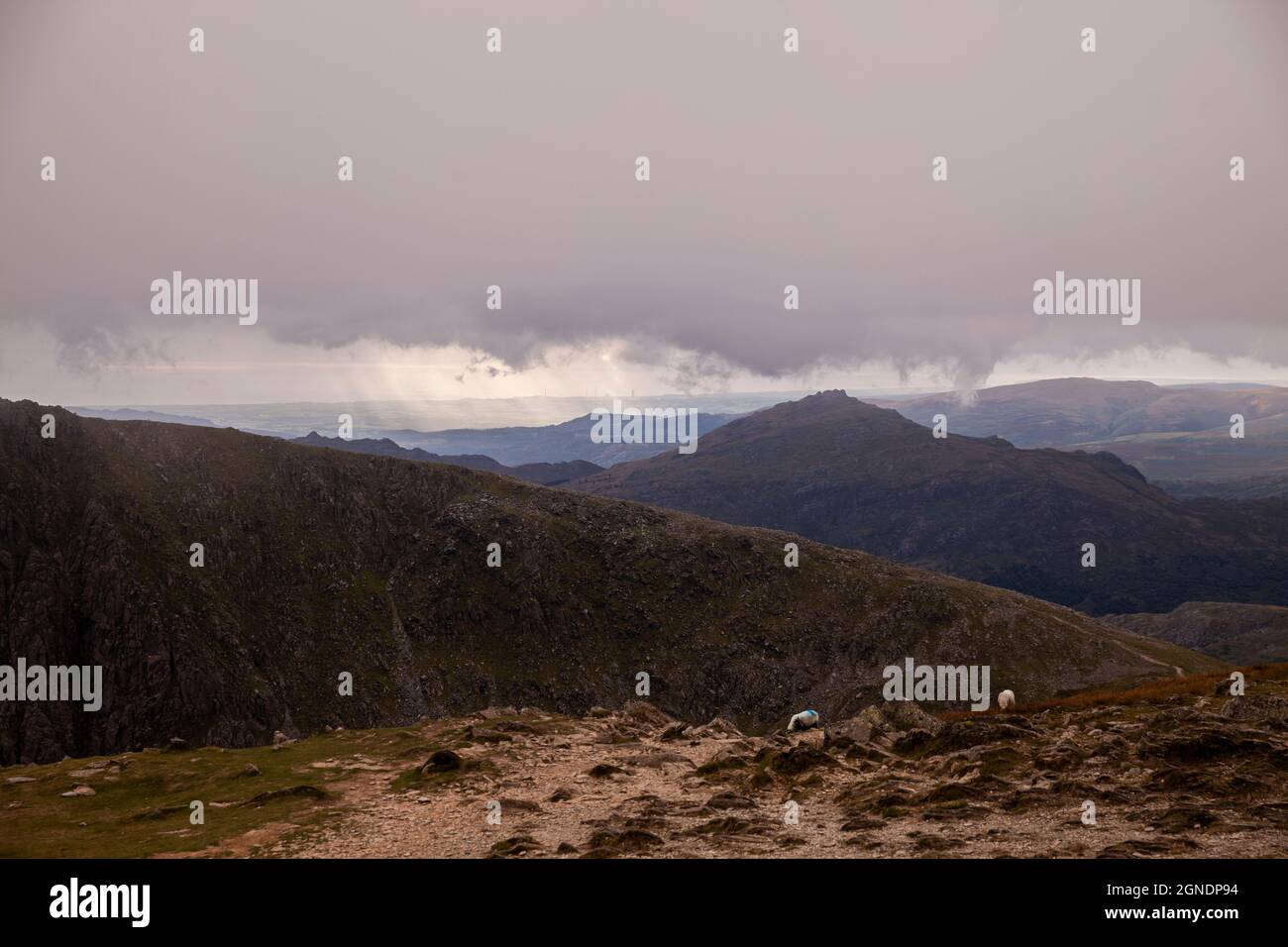 Blick von der Spitze des Old man of Coniston im englischen Lake District in Cumbria.beliebt bei Fell Walking. Stockfoto