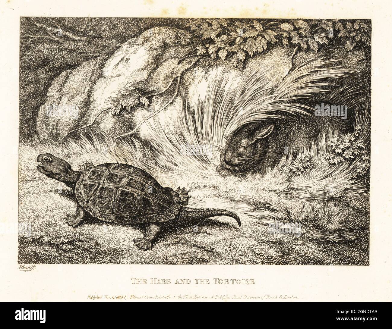 Eine Schildkröte überholt einen schlafenden Hasen im Rennen. Der Hase und die Schildkröte