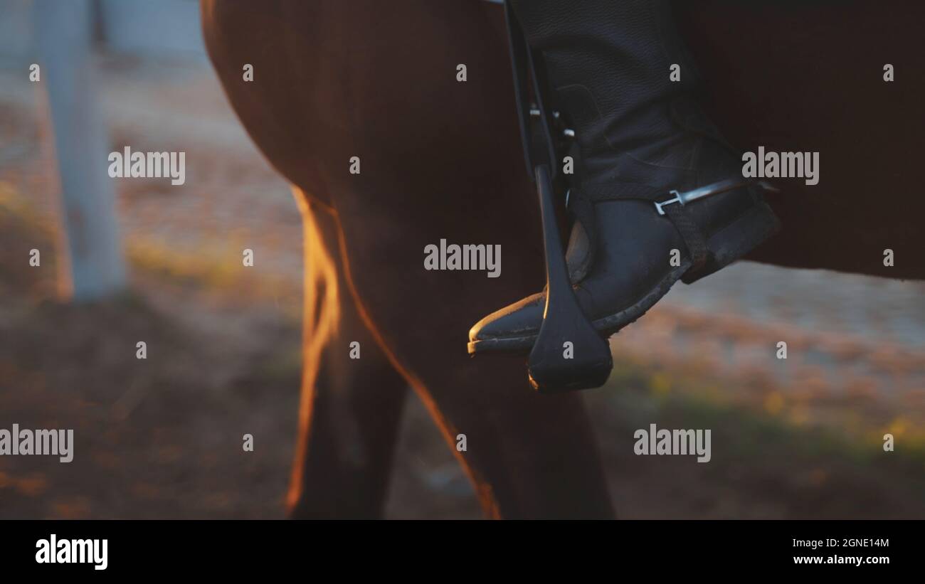 Der Fokus liegt auf der Vorderseite des Pferdes und seinem Beinpaar mit einer nicht erkennbaren Person und seinem Stiefel in einem Sporn in der Nähe der Säule. Hochwertige Fotos Stockfoto