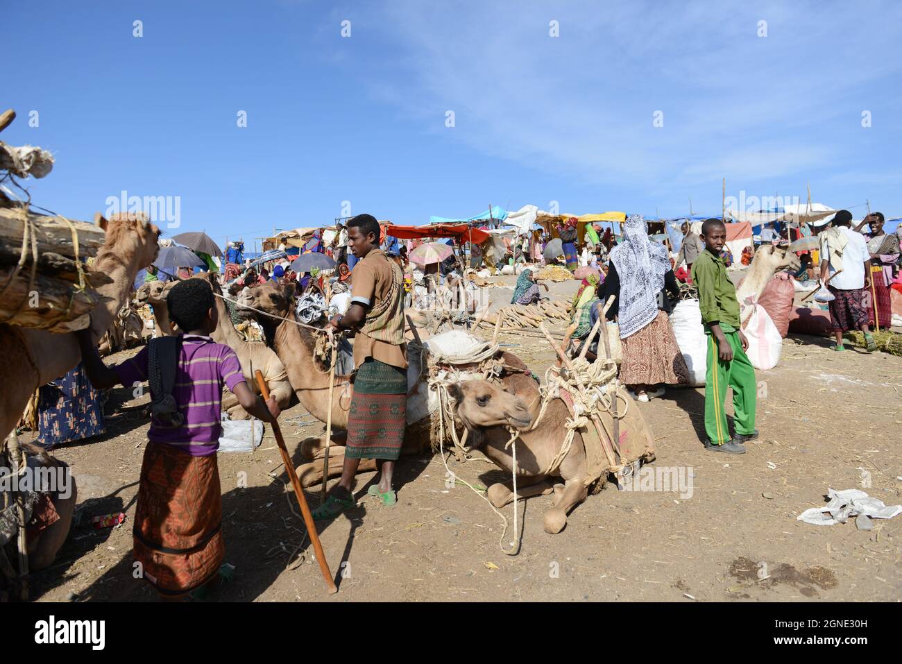 Kamele auf dem Wochenmarkt in Bati, Äthiopien. Stockfoto