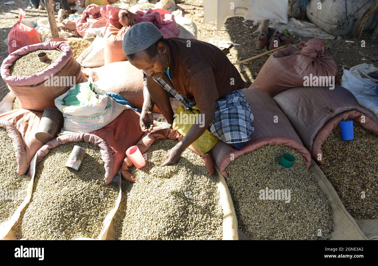 Frische grüne Kaffeebohnen werden auf dem Wochenmarkt in Bati, Äthiopien, verkauft. Stockfoto