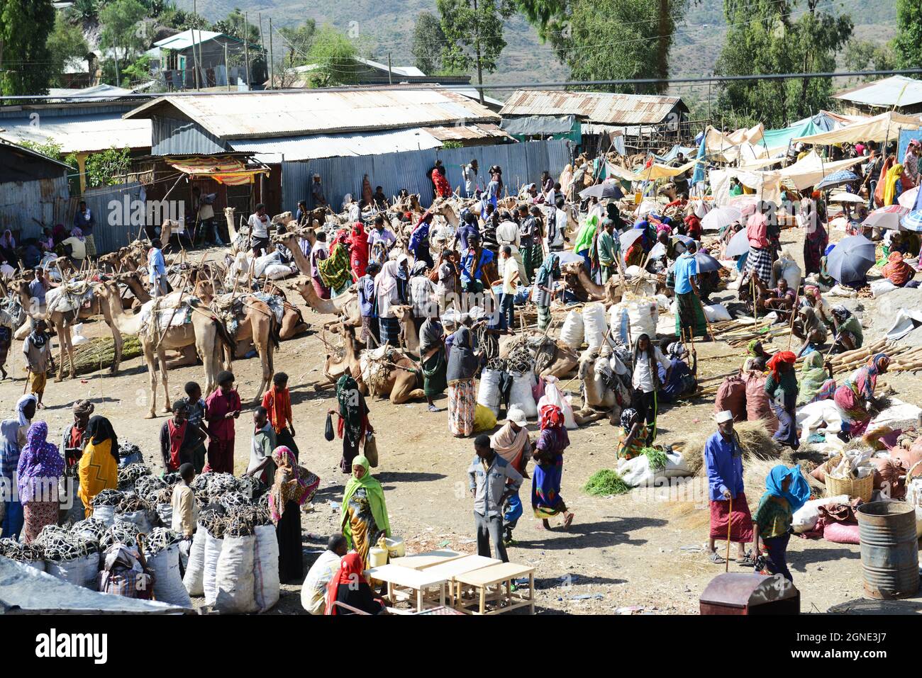 Der lebhafte Wochenmarkt in Bati, Äthiopien. Stockfoto