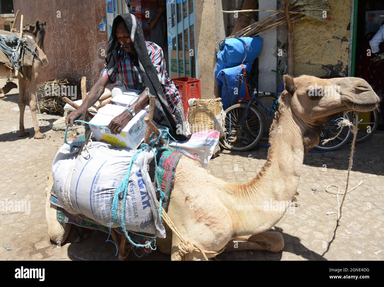 Ein Oromo-Mann lädt Waren auf sein Kamel in Bati, Äthiopien. Stockfoto
