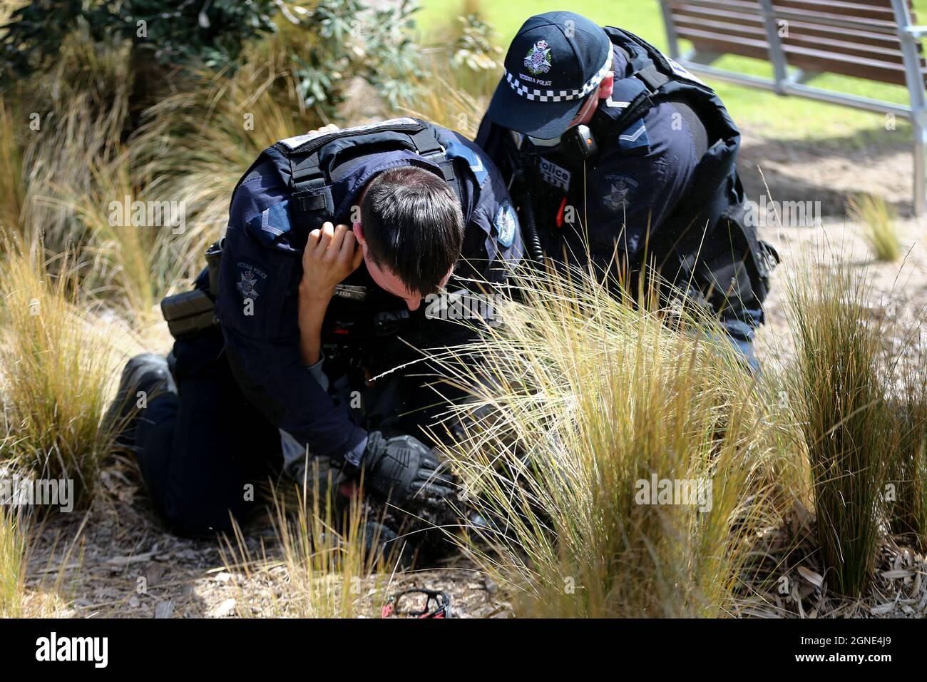 Melbourne, Australien, 25. September 2021. Während der „Millions March for Freedom“-Kundgebung in St. Kilda Beach wird ein Protestler verhaftet. Melbourne erduldet einen weiteren Tag voller Proteste und Chaos über die umstrittene Regierung von Premier Daniel Andrews und die Reaktion auf Pandemiefälle, einschließlich Sperrungen und obligatorischer Impfungen. Kredit: Dave Hewison/Speed Media/Alamy Live Nachrichten Stockfoto