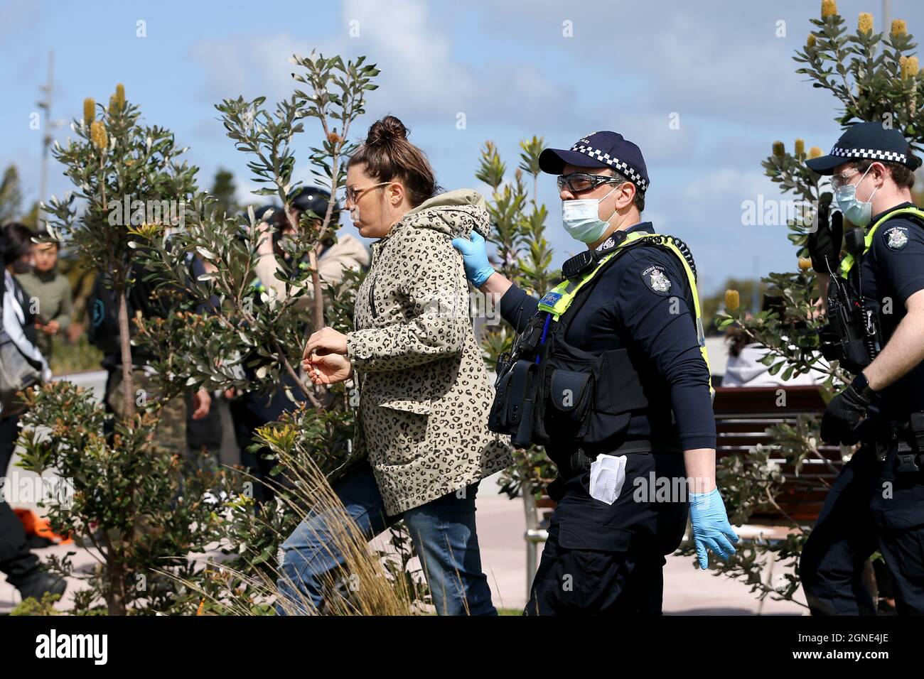 Melbourne, Australien, 25. September 2021. Während der „Millions March for Freedom“-Kundgebung in St. Kilda Beach verfrab die Polizei einen Protestierenden. Melbourne erduldet einen weiteren Tag voller Proteste und Chaos über die umstrittene Regierung von Premier Daniel Andrews und die Reaktion auf Pandemiefälle, einschließlich Sperrungen und obligatorischer Impfungen. Kredit: Dave Hewison/Speed Media/Alamy Live Nachrichten Stockfoto