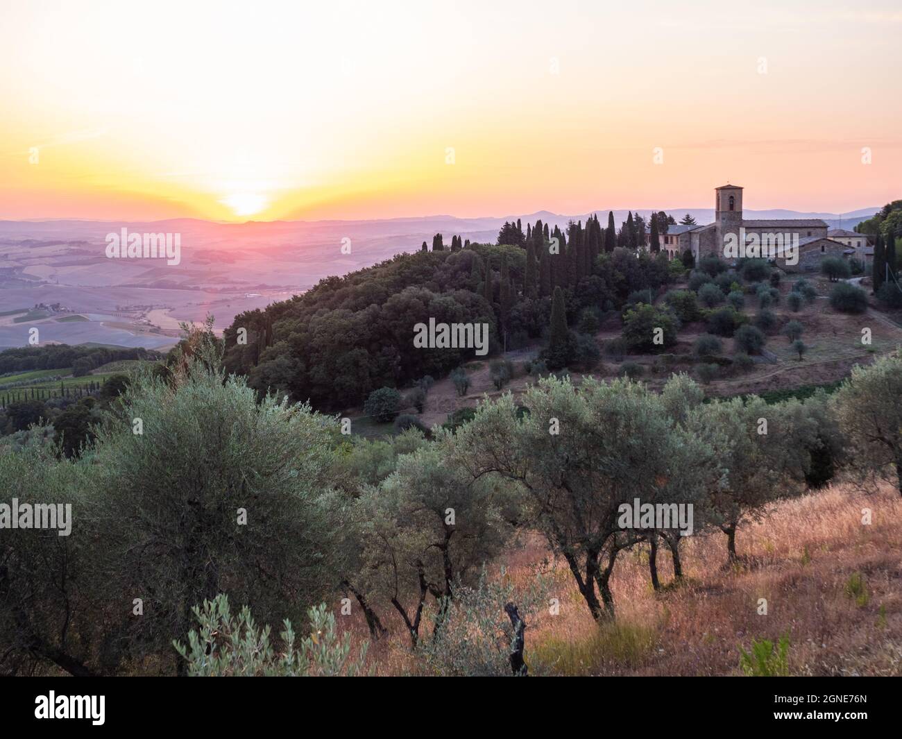 Sonnenaufgang Landschaft bei Montalcino am Convento dell'Osservanza in der Toskana, Italien mit Olivenbäumen Stockfoto