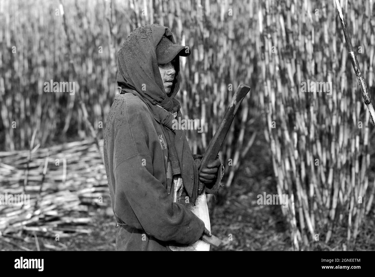 Ein mexikanischer Junge, der in den Zuckerrohrfeldern in Ahualulco, Jalisco, Mexiko, arbeitet. 31. März 2007. Stockfoto