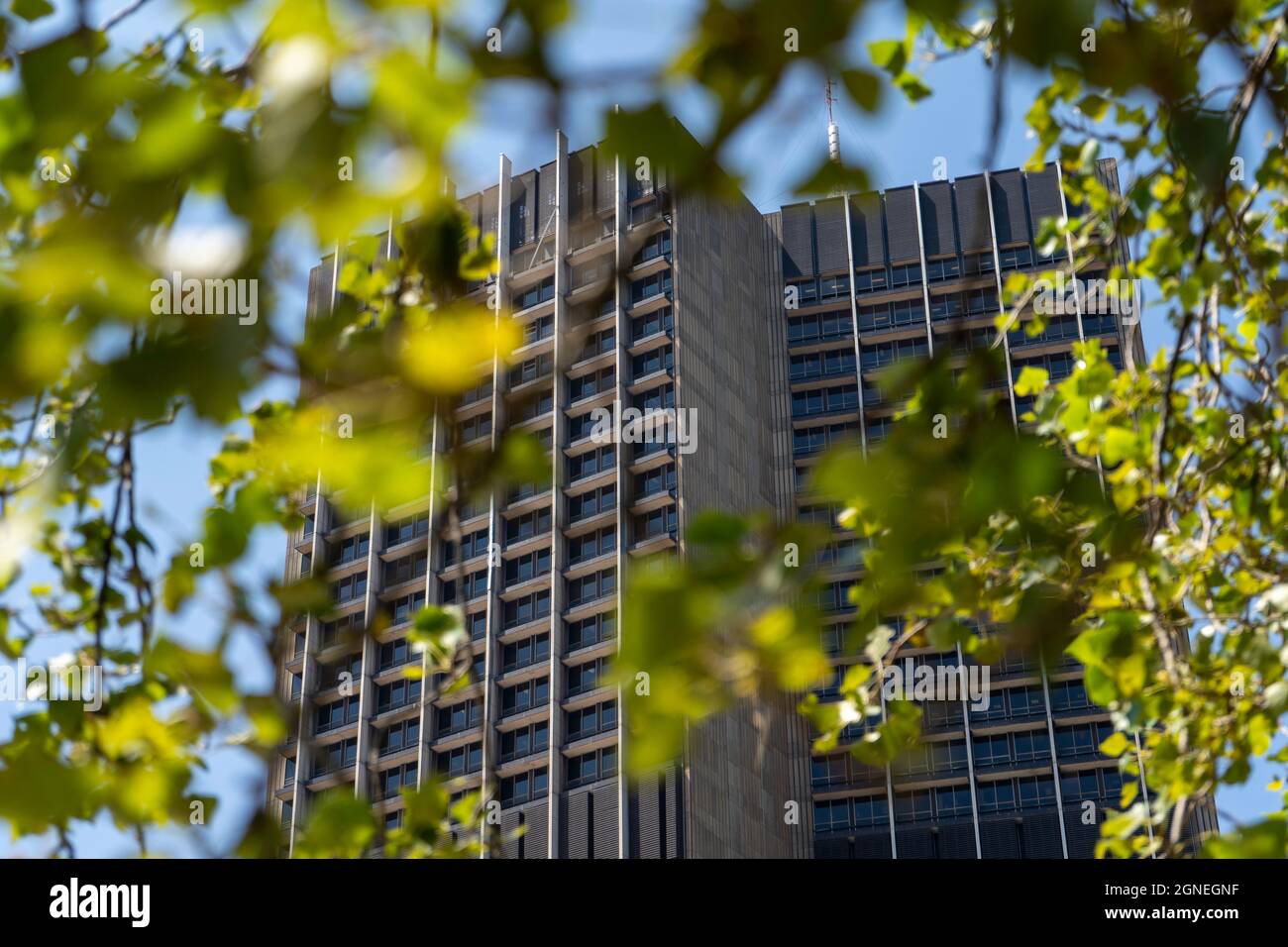 Johannesburg, Südafrika - Januar 30 2019: SABC Radio Park Tree. Hochwertige Fotos Stockfoto