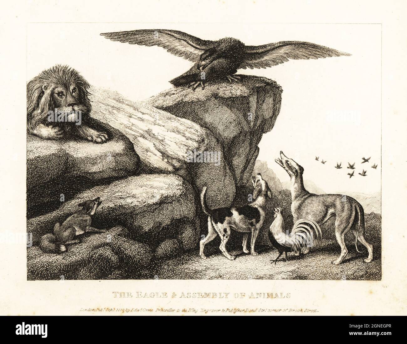 Jupiters Vogel, der Adler, der einen Löwen, Fuchs, Windhund und und Hahn ermahnt. Der Adler und die Versammlung der Tiere. Illustration einer Fabel des englischen Dichters John Gay. Kupferstichradierung gezeichnet und aus dem Leben von Samuel Howitt aus seinem eigenen A New Work of Animals, hauptsächlich entworfen aus den Fabeln von Aesop, Gay and Phaedrus, Edward Orme, London, 1811. Stockfoto