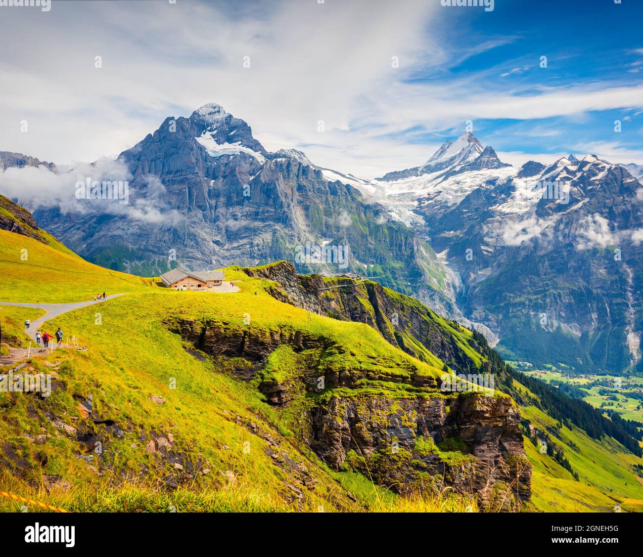 Toller Sommerblick vom Gipfel der ersten Seilbahn Grindelwald. Schreckhorn Berg im Morgennebel, Grindelwald Dorflage, Schweizer Berner Al Stockfoto