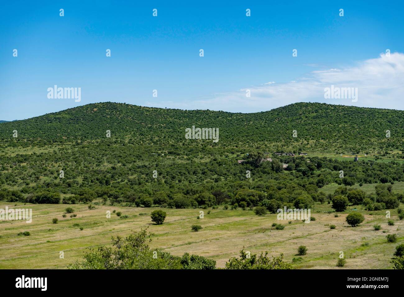 Landschaftsaufnahme von Land in Farm und Naturschutzgebiet im Vredefort Dome in Südafrika. Hochwertige Fotos Stockfoto