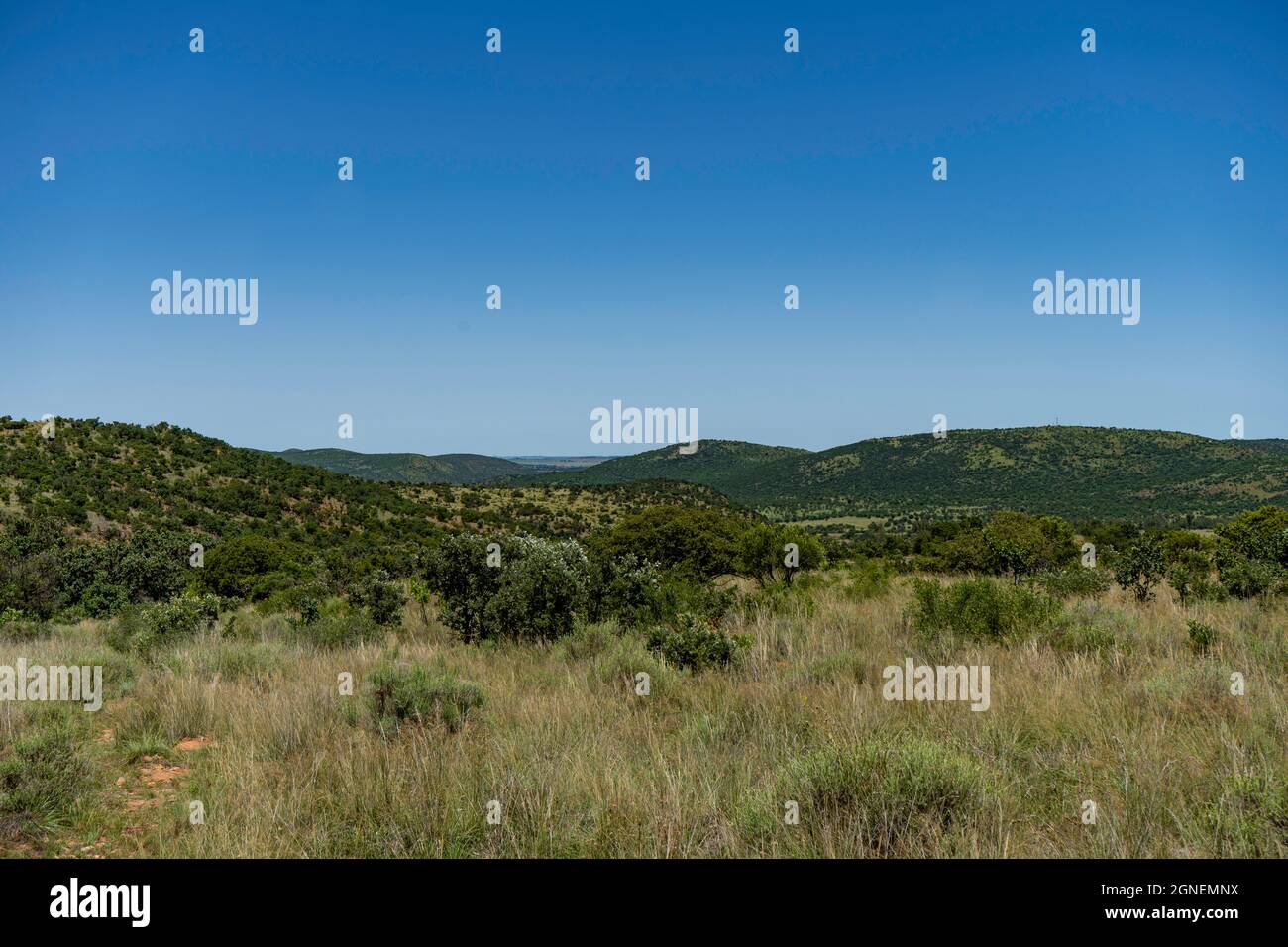 Landschaftsaufnahme von Land in Farm und Naturschutzgebiet im Vredefort Dome in Südafrika. Hochwertige Fotos Stockfoto