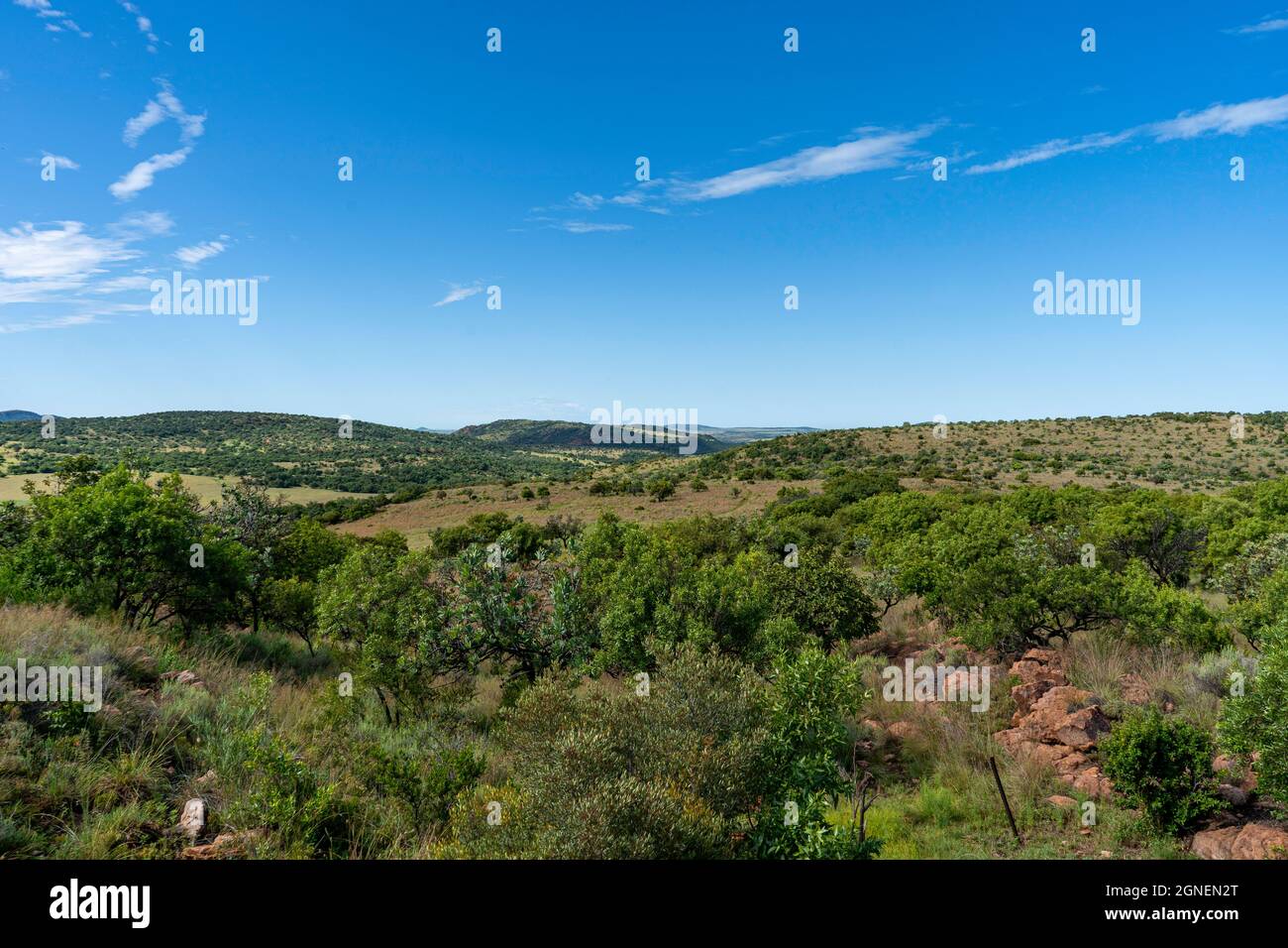 Landschaftsaufnahme von Land in Farm und Naturschutzgebiet im Vredefort Dome in Südafrika. Hochwertige Fotos Stockfoto