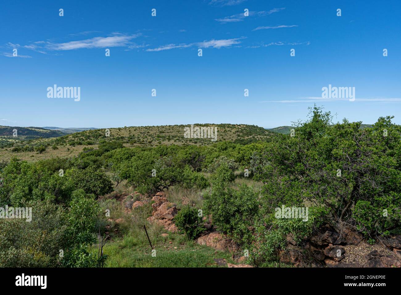 Landschaftsaufnahme von Land in Farm und Naturschutzgebiet im Vredefort Dome in Südafrika. Hochwertige Fotos Stockfoto