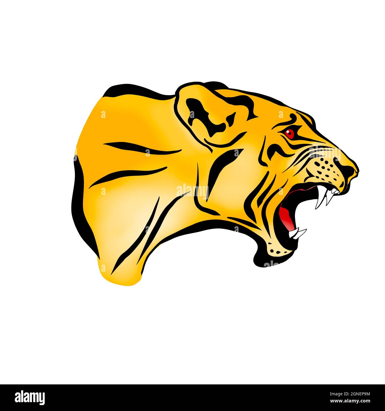 Ein Löwe mit einem entblödeten Mund. Der König des Dschungels. Ein Verwandter von Tiger, Panther, Leopard, Puma, Gepard und Hauskatze Stockfoto