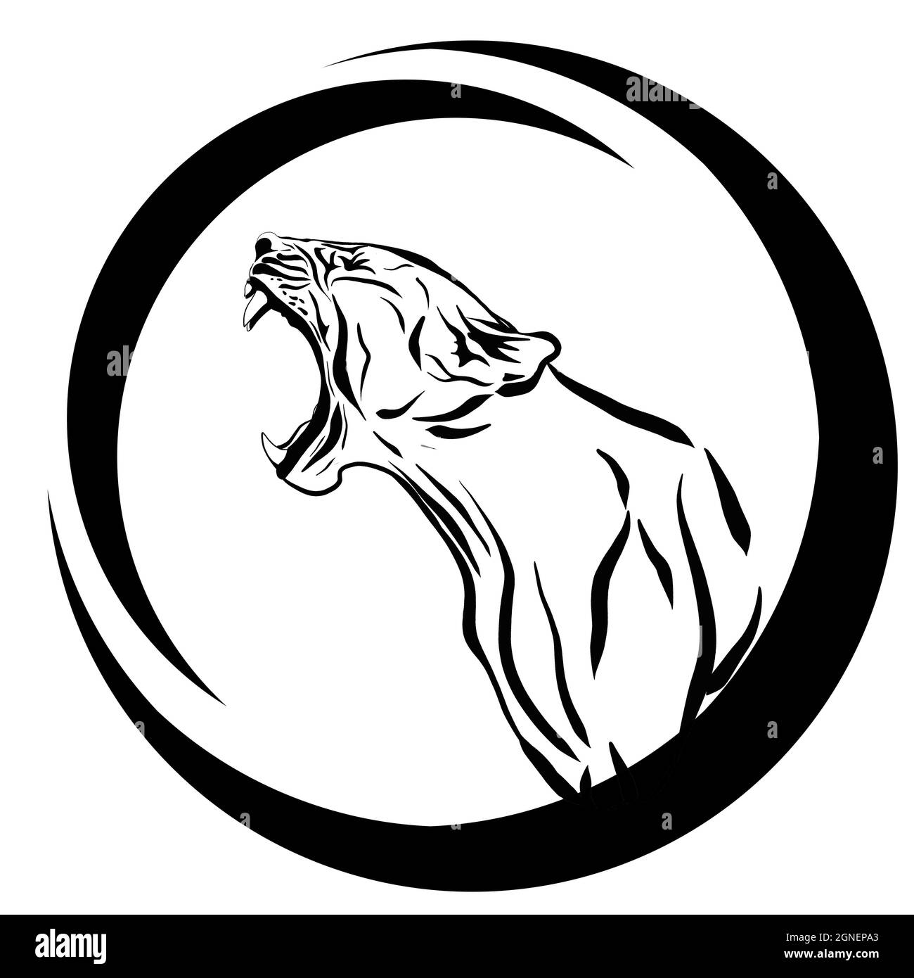 Ein Löwe mit einem entblödeten Mund. Der König des Dschungels. Ein Verwandter von Tiger, Panther, Leopard, Puma, Gepard und Hauskatze Stockfoto