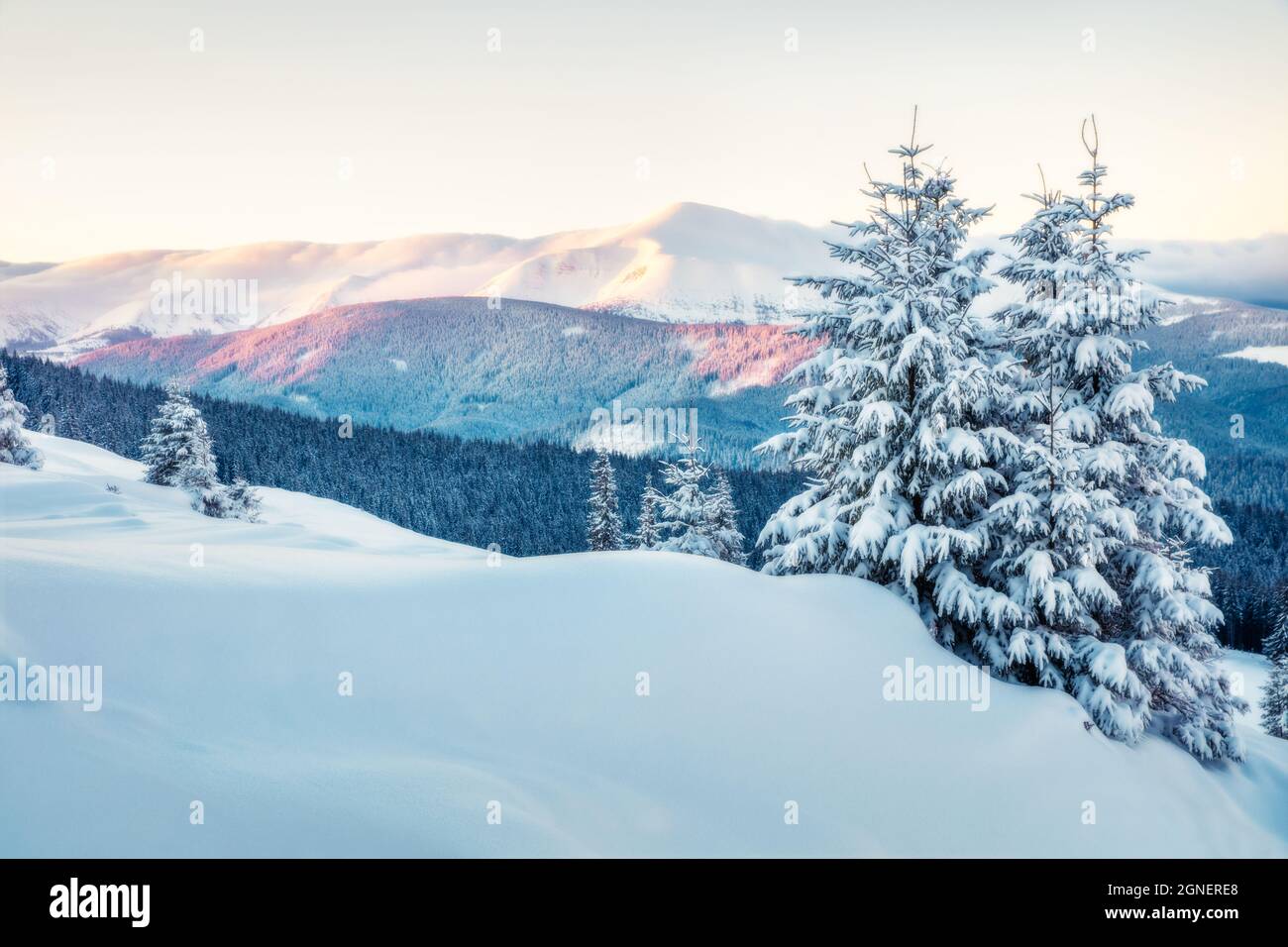 Frostiger Winteraufgang in den Karpaten mit Hoverla-Gipfel auf dem Rücken, Ukraine, Europa. Am frühen Morgen Szene des Bergtals, glückliches neues Jahr Stockfoto