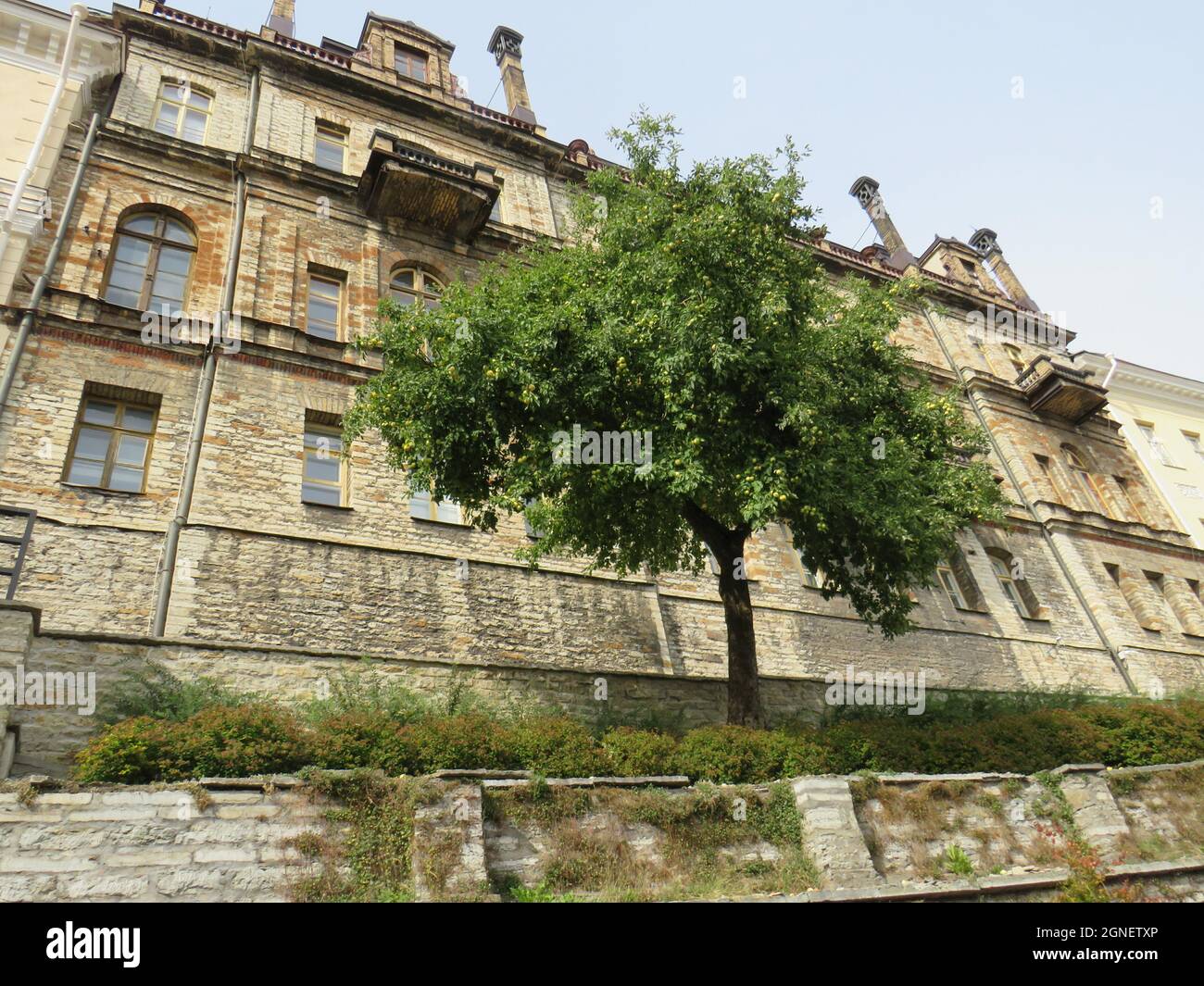 LANDSBERG AM LECH, ITALIEN - 26. Aug 2019: Ein Haus mit einem Baum davor Stockfoto