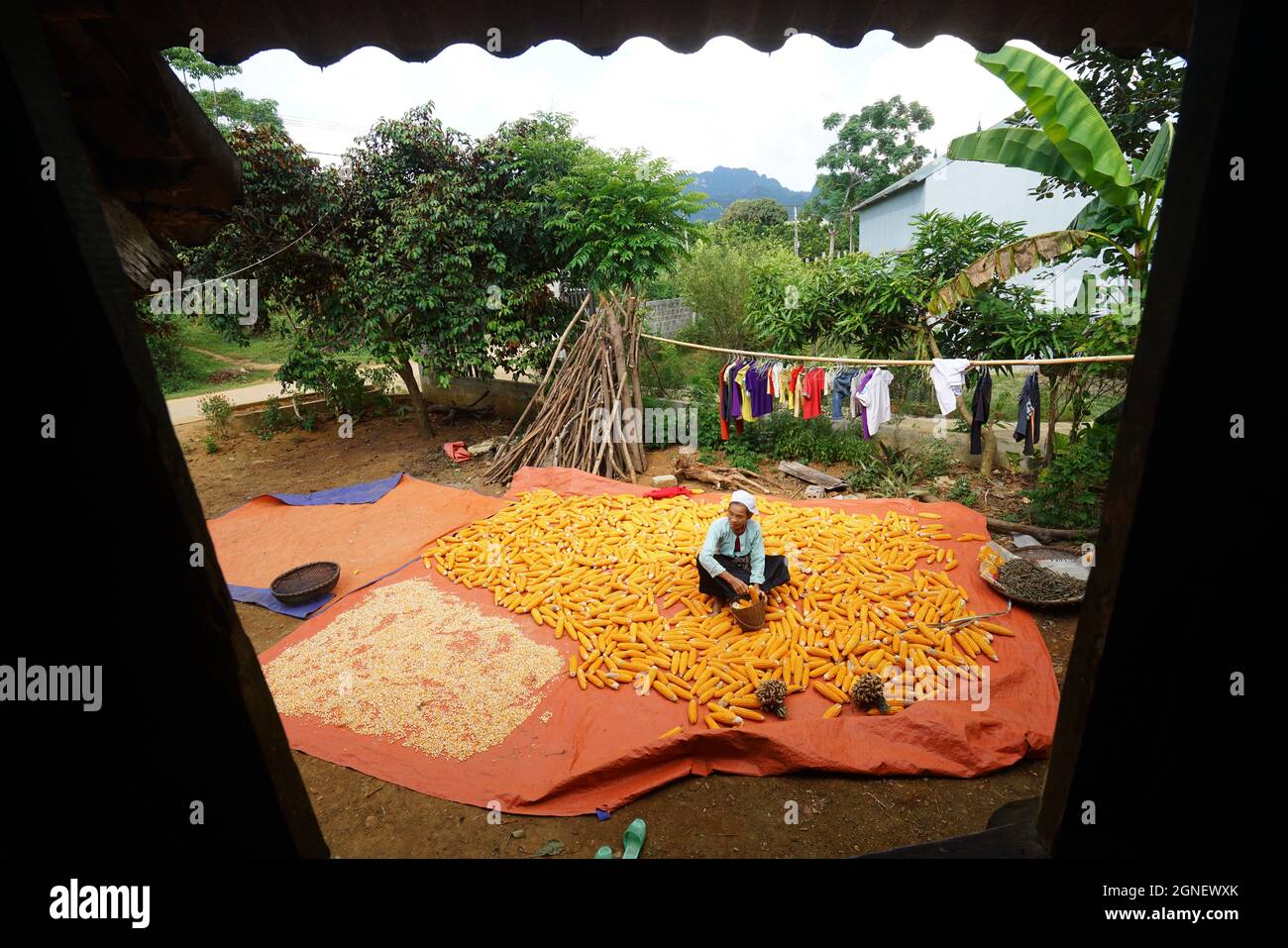 Tägliches Leben im Dorf in der Provinz Hoa Binh Nordvietnam Stockfoto