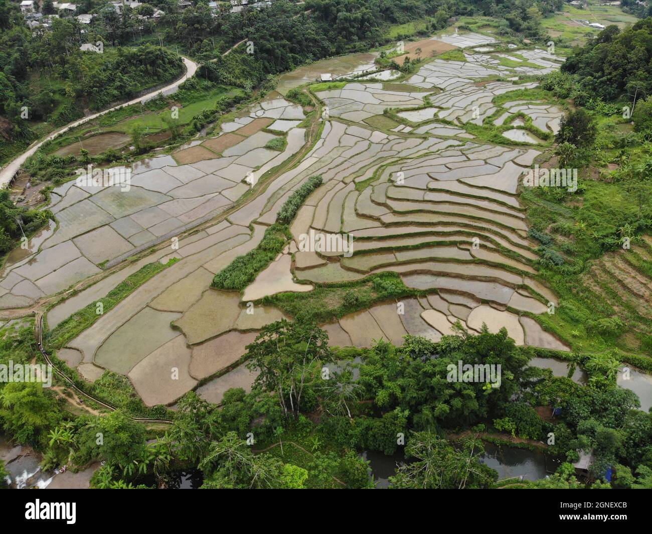 Schönes Reisfeld in der Provinz Hoa Binh im Norden Vietnams Stockfoto