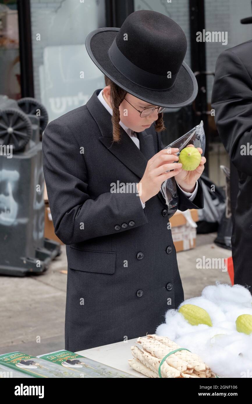 Ein junger chassidischer jüdischer Junge mit langem Peyus untersucht einen Estrog Tage vor dem Start von Sukkos auf Unvollkommenheiten. In Williamsburg, Brooklyn, New York Ci. Stockfoto