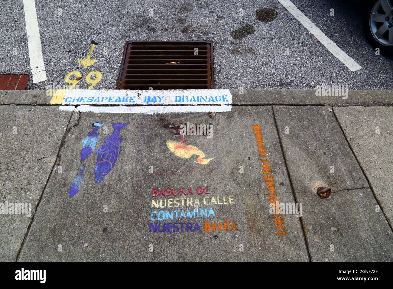 Schreiben in spanischer Sprache auf dem Bürgersteig neben einem Abfluss, der die Menschen aufsagt, keinen Abfall fallen zu lassen, der die chestapeake Bay, Baltimore, USA, kontaminiert Stockfoto