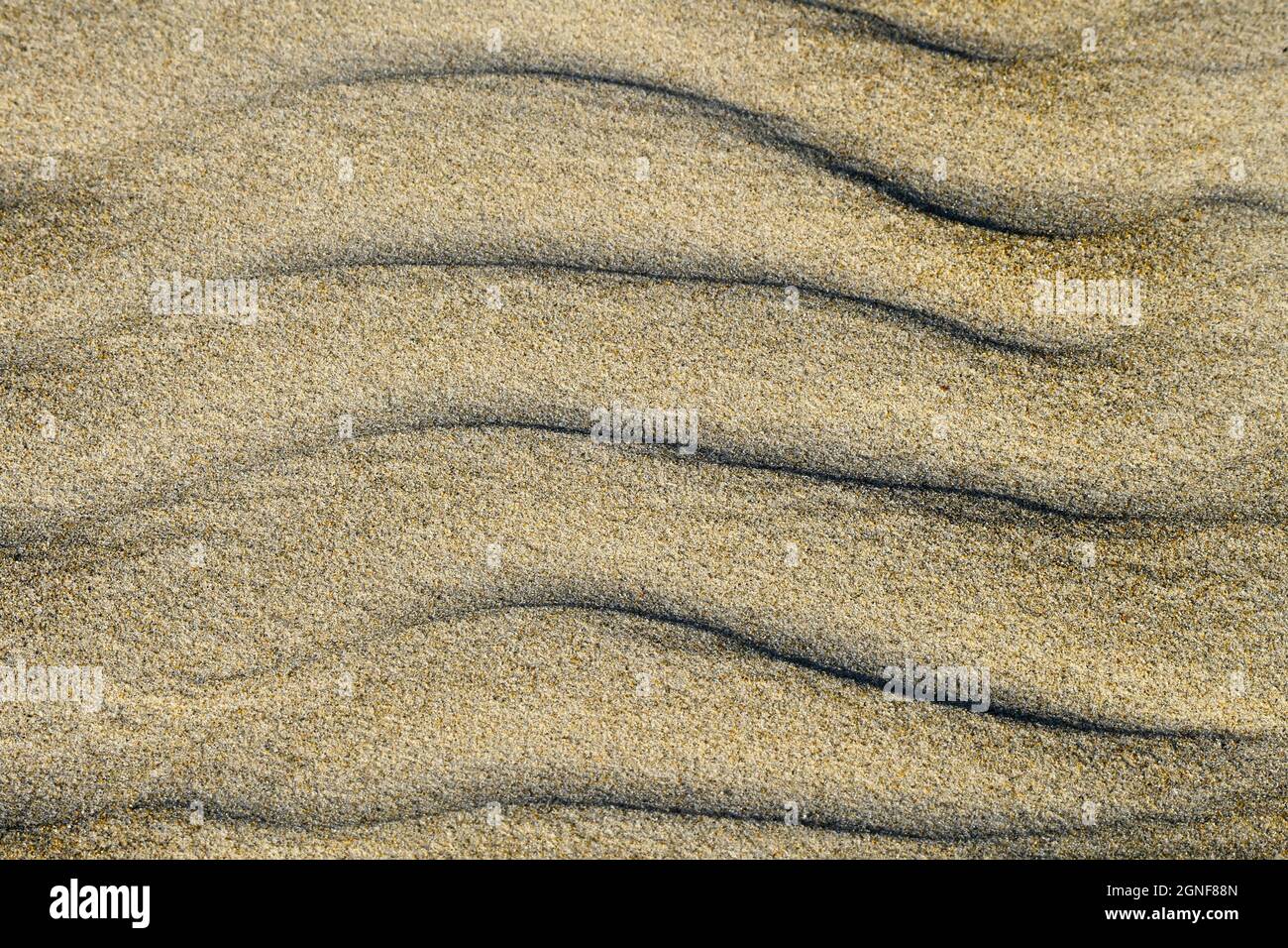 Kräuselt sich Sand Stockfoto