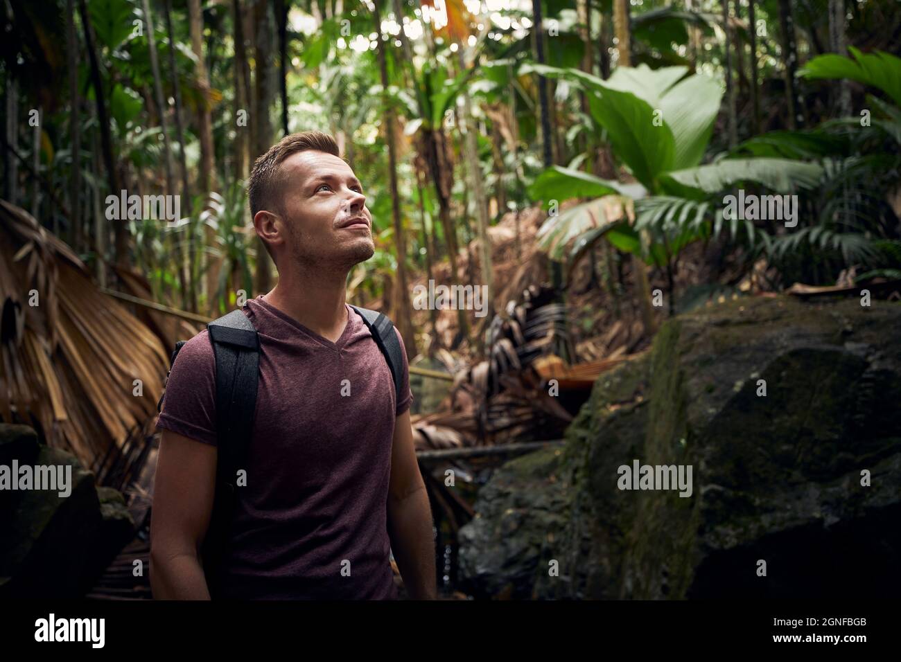 Junger Mann mit Rucksack entdeckt Dschungel. Reisende in tropischen Regenwald auf den Seychellen. Stockfoto