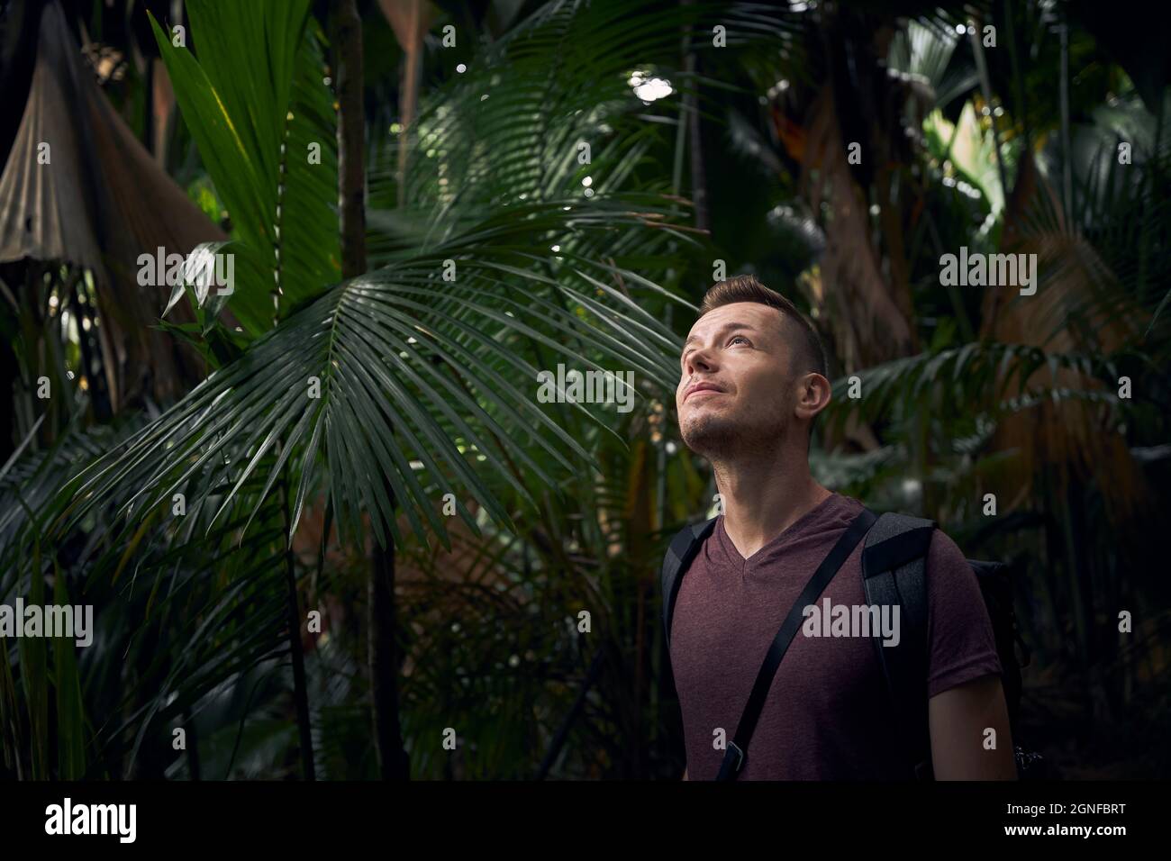 Junger Mann mit Rucksack entdeckt Dschungel. Reisende in tropischen Regenwald auf den Seychellen. Stockfoto